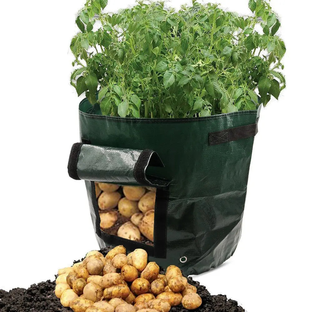 PE cloth garden planting bag - Unique Unique Unique PE cloth garden planting bag