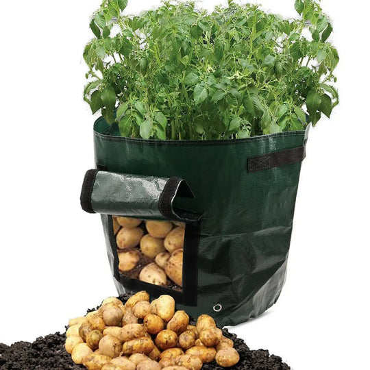 PE cloth garden planting bag - Unique Unique Unique PE cloth garden planting bag