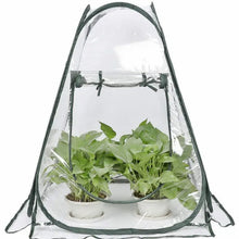 Outdoor Garden Plants And Flowers Antifreeze Greenhouse - Unique Unique Unique Outdoor Garden Plants And Flowers Antifreeze Greenhouse