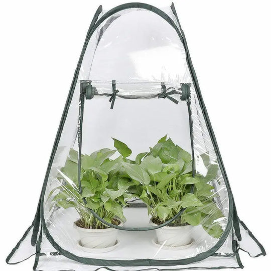 Outdoor Garden Plants And Flowers Antifreeze Greenhouse - Unique Unique Unique Outdoor Garden Plants And Flowers Antifreeze Greenhouse