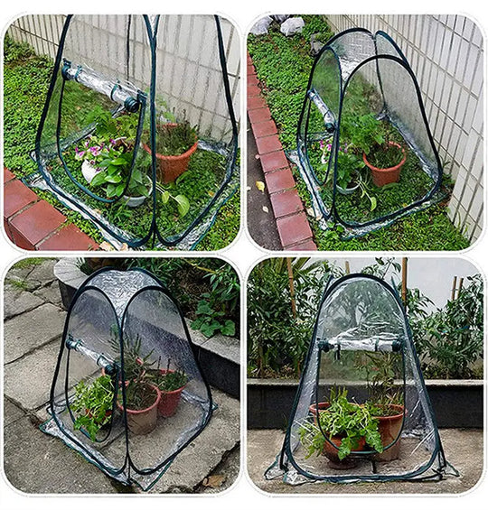 Outdoor Garden Plants And Flowers Antifreeze Greenhouse - Unique Unique Unique Outdoor Garden Plants And Flowers Antifreeze Greenhouse