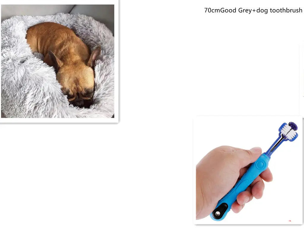 1 random color toothbrush pet plush dog brush in addition to bad breath tartar dental care dog cat cleaning supplies - Unique Unique Unique 1 random color toothbrush pet plush dog brush in addition to bad breath tartar dental care dog cat cleaning supplies