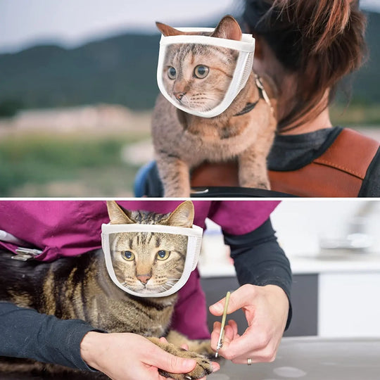 Anti Bite Puppy Kitten Muzzles Mask Pet Product Cat Muzzle Breathable Dogs Cats Bathing Grooming Tools - Unique Unique Unique Anti Bite Puppy Kitten Muzzles Mask Pet Product Cat Muzzle Breathable Dogs Cats Bathing Grooming Tools