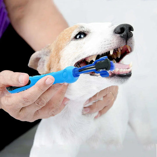 1 random color toothbrush pet plush dog brush in addition to bad breath tartar dental care dog cat cleaning supplies - Unique Unique Unique 1 random color toothbrush pet plush dog brush in addition to bad breath tartar dental care dog cat cleaning supplies