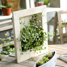 Wall-mounted flower frame - Unique Unique Unique Wall-mounted flower frame