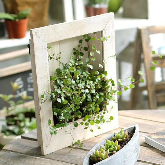 Wall-mounted flower frame - Unique Unique Unique Wall-mounted flower frame