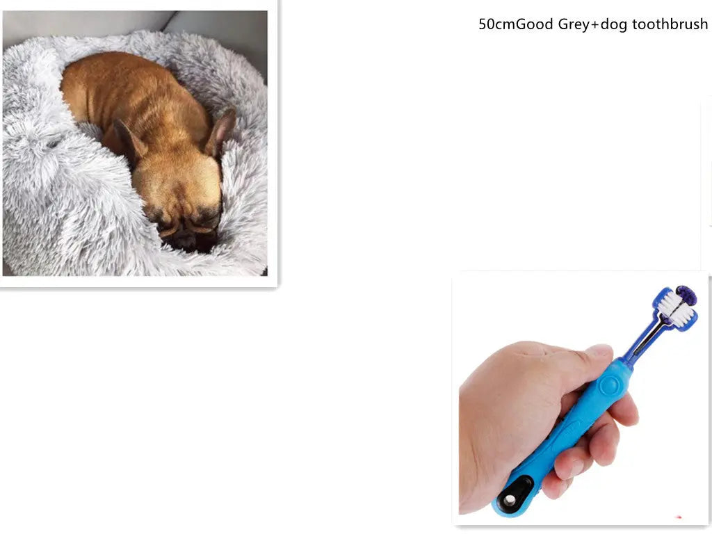 1 random color toothbrush pet plush dog brush in addition to bad breath tartar dental care dog cat cleaning supplies - Unique Unique Unique 1 random color toothbrush pet plush dog brush in addition to bad breath tartar dental care dog cat cleaning supplies