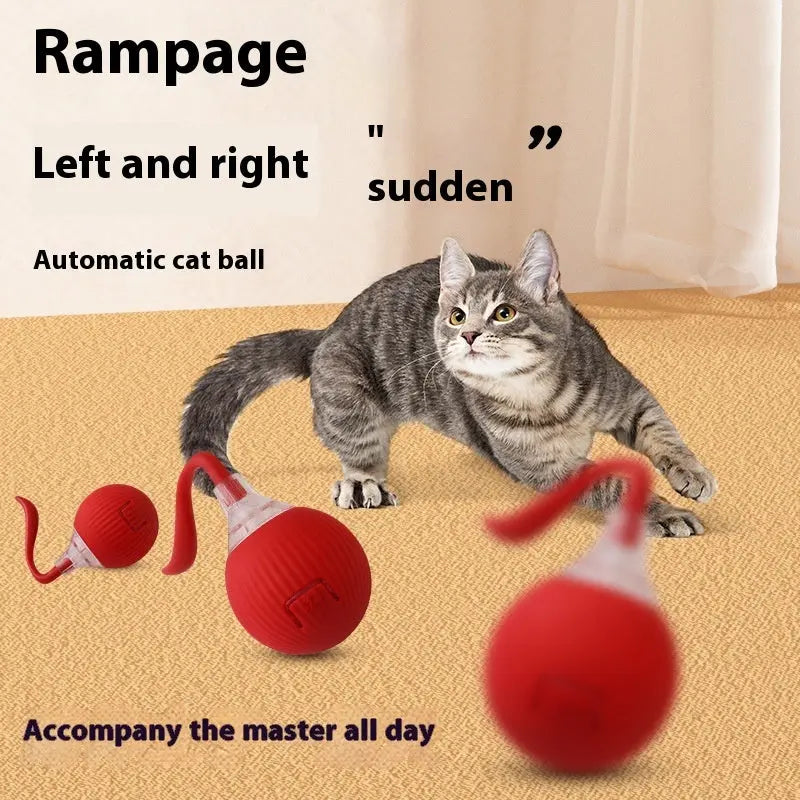 Interactive Cat Toy Ball Super Drive Cat Rolling Balls With Bird Chirping Motion Activated Sensor Pets Kitten Teaser Game Toys Pet Products - Unique Unique Unique Interactive Cat Toy Ball Super Drive Cat Rolling Balls With Bird Chirping Motion Activated Sensor Pets Kitten Teaser Game Toys Pet Products
